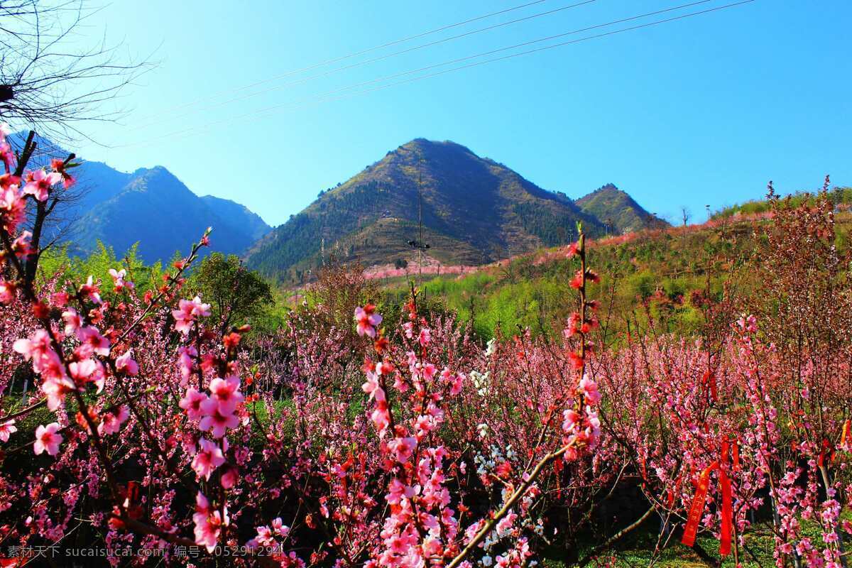 竹林關(guān)桃花谷 美麗鄉(xiāng)村 竹林關(guān) 陜南移民 丹鳳 桃花谷 陜西 自然景觀 自然風景 山水風景