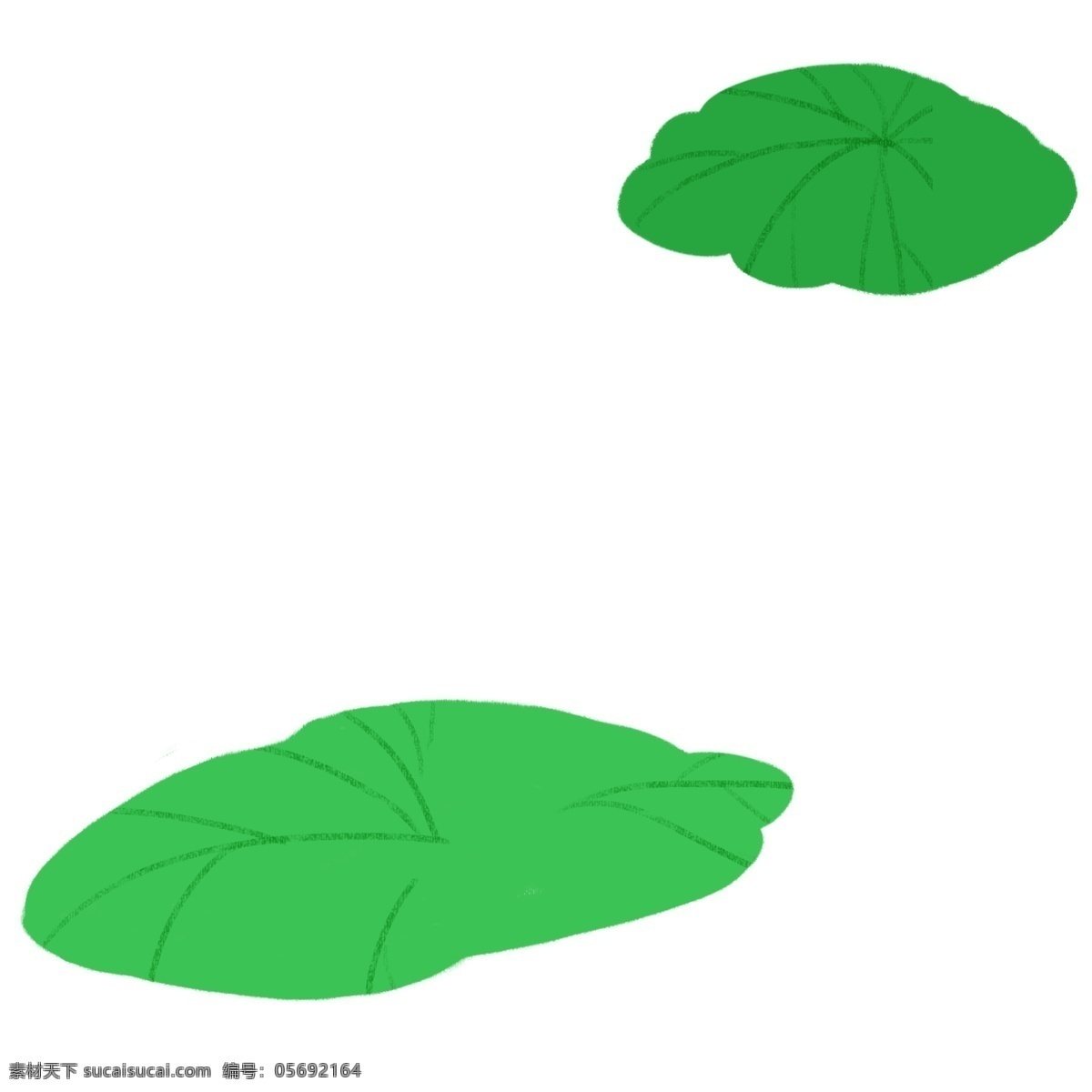 绿色荷叶 荷花叶 荷叶 两 片 水中 绿色 卡通 免 抠 图 夏天 夏天的荷叶