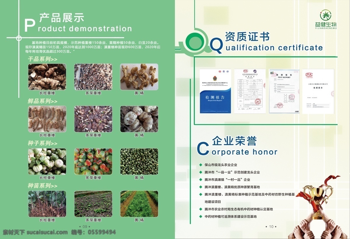 生物科技圖片 生物 科技 畫冊 封面 植物 分層