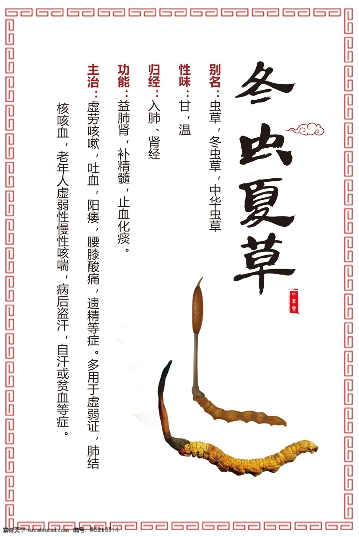冬蟲夏草 草藥 白芷 玄參 牛蒡子 赤芍 人參 當(dāng)歸 甘草 熟地黃 黃芪 金銀花 中醫(yī)文化 傳統(tǒng) 中國(guó)風(fēng) 邊框 中草藥 中藥 廣告 原創(chuàng) 中藥圖譜 源文件 中藥展板 中藥宣傳 中藥材 中藥海報(bào) 中藥掛圖 中藥介紹 植物 傳統(tǒng)邊框 祥云 分層