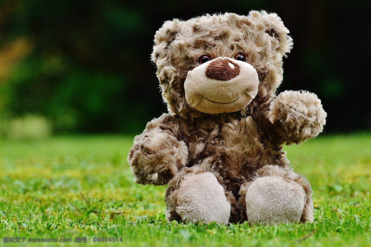泰迪熊 毛绒玩具 毛绒动物 玩具熊 可爱 孩子 熊 玩具 泰迪熊玩具 黑色