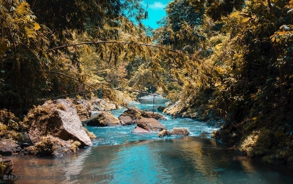 森林里的小溪 森林 小溪 美景 河流 蓝水 摄影库 自然景观 风景名胜