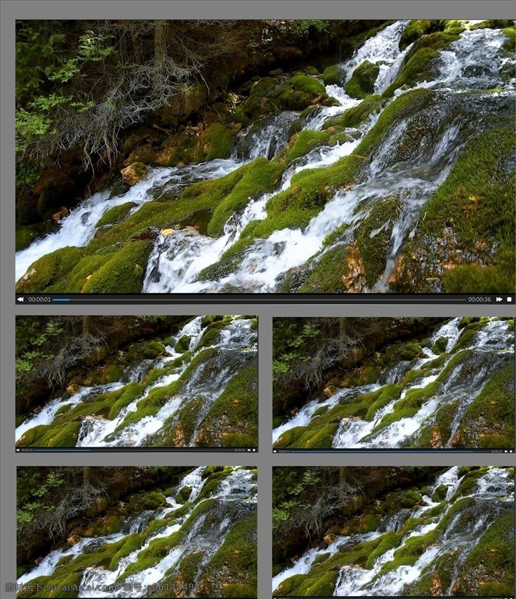 森林 小溪 流水 视频 清澈流水 自然 山间流水 多媒体 实拍视频 自然风光 mp4