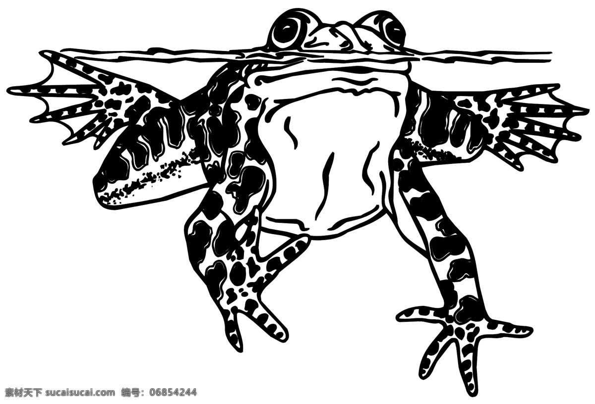 蛙类 两栖动物 矢量素材 格式 eps格式 设计素材 矢量动物 矢量图库 白色