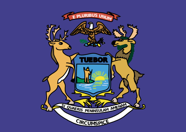 密歇根州 旗帜 胳膊 夹 艺术 外衣 蓝色