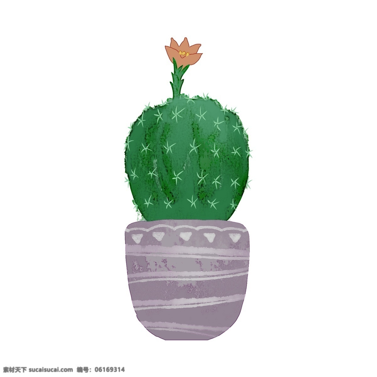橘 花 仙人球 水彩 肌理 绿植 水彩风 彩墨 植物 盆栽 花卉 橘色花朵
