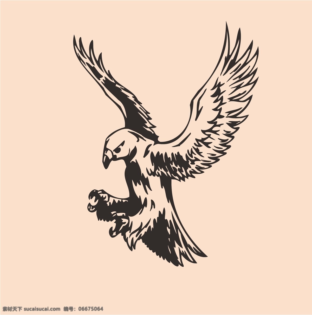 飞鹰 鹰 老鹰 雕 鸟 鸟类 矢量图 卡通设计