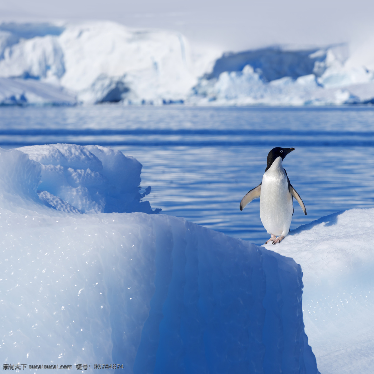 冰山 中 只 企鹅 中的 一只 北极 雪地 雪山 生物世界 海洋生物