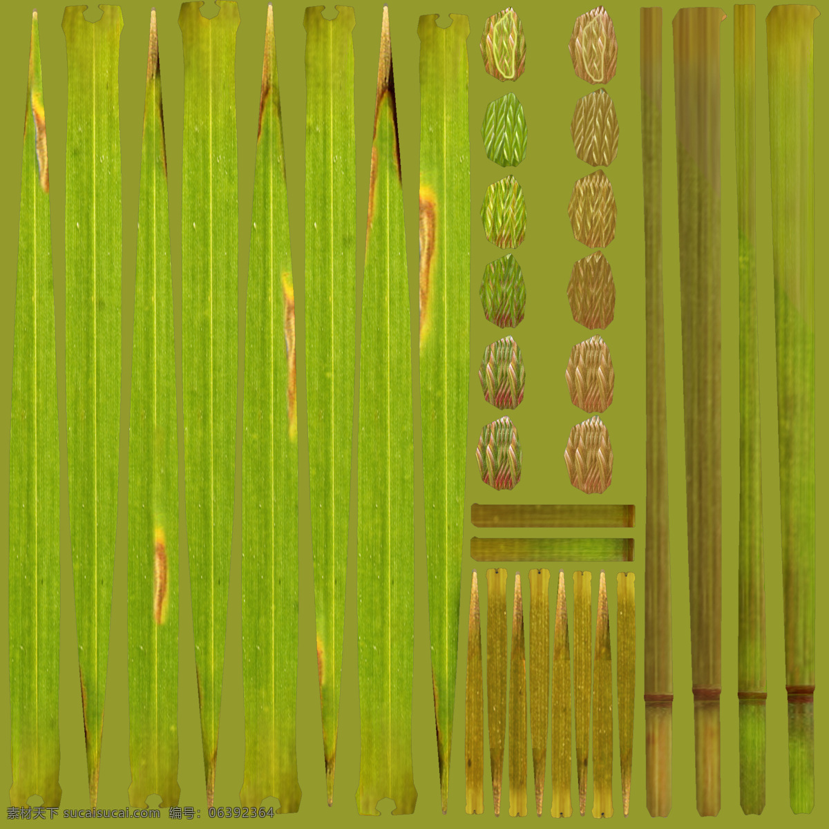 3d模型 3d設(shè)計模型 max 草 模型 室外模型 源文件 植物 植物模型 小草 模板下載 小草模型 高品質(zhì)模型 3d模型素材 其他3d模型