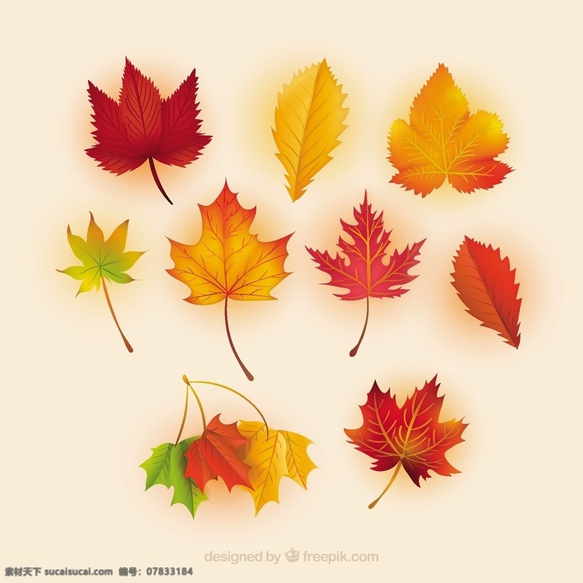 秋天红叶背景 背景 自然 性质 秋天 树叶 矢量 eps文件