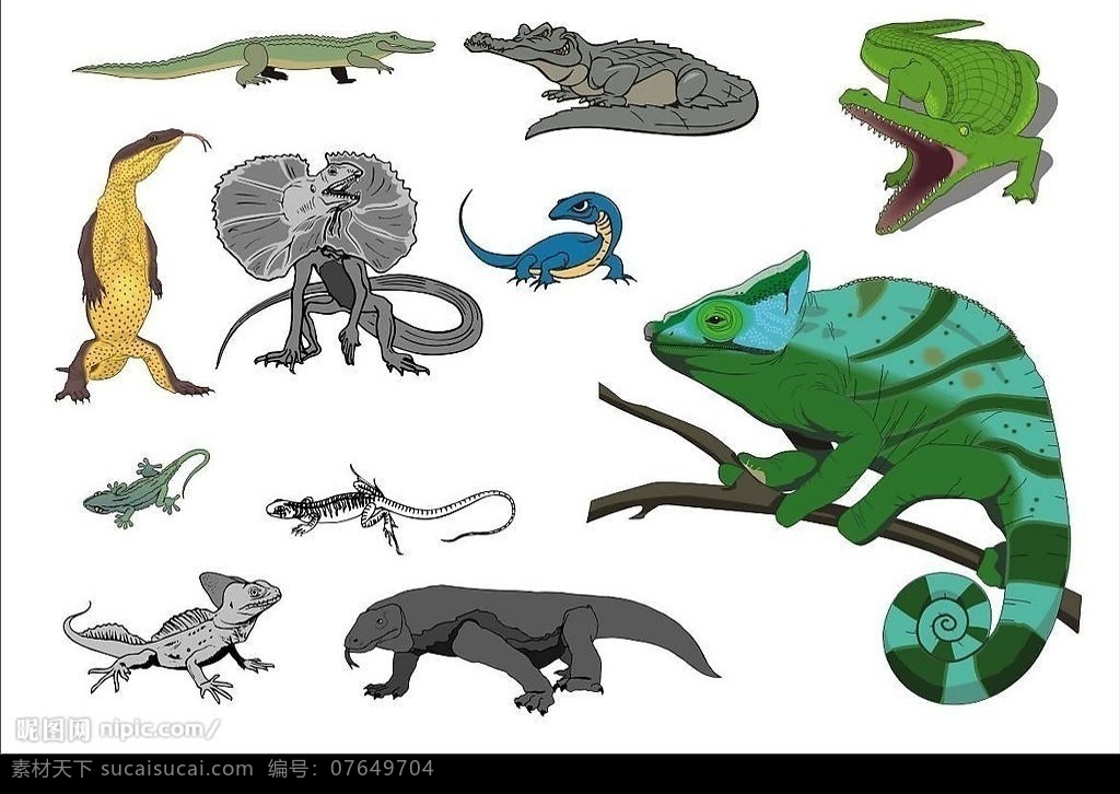 coreldarw 精选 矢量 动物 蜥蜴 鳄鱼 生物世界 其他生物 爬行动物 矢量图库