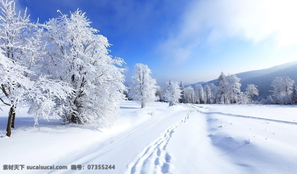 冬天 雪地 美景 白色 白色道路 脚印 旅游摄影