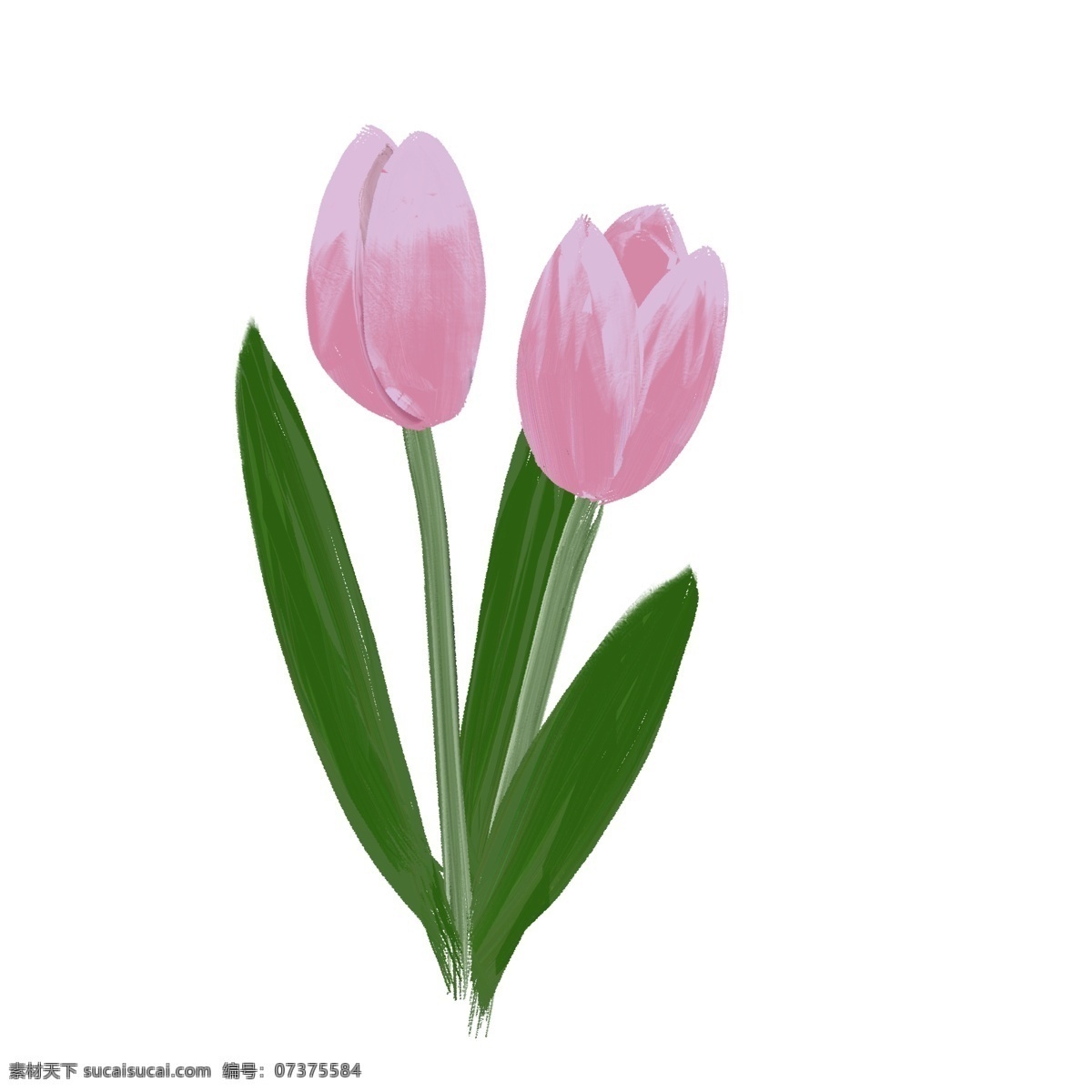 欧式 油画 花朵 花卉 风 郁金香 欧风 油画风 花 植物 手绘 免扣 可商用 粉色 绿叶 叶子 叶 花草