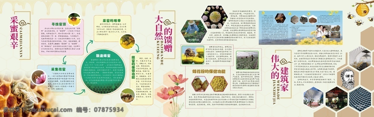 蜜蜂 文化 展廳 墻面 蜜蜂文化 展廳墻面 花 平面設(shè)計(jì) 采蜜 蜜蜂采蜜 蜜蜂知識(shí) 蜜蜂研究 蜜蜂文化展廳 文化形象墻