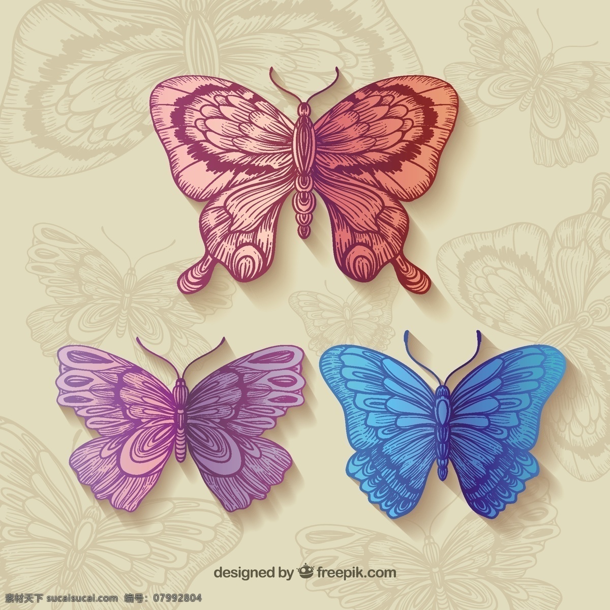 美丽蝴蝶 蝴蝶 自然 动物 翅膀 昆虫 漂亮 收藏 图标 高清 源文件