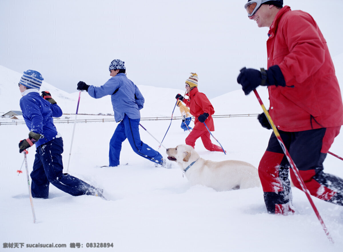 准备 去 滑雪 人 美丽 自然 雪地 冬季 运动 人物 奔跑 狗 滑雪图片 生活百科