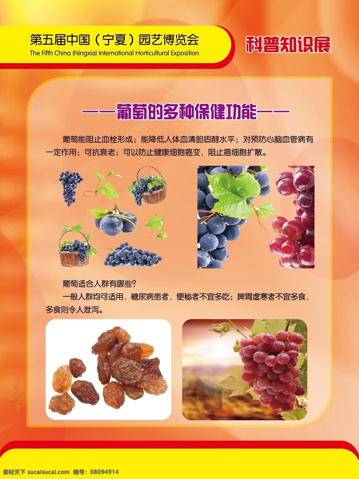 農(nóng)業(yè) 科普知識 展 中國 寧夏 第五屆 園藝博覽會 科普知識展 健康知識 展板 新鮮葡萄 葡萄干 葡萄 多種 保健 功能 展板模板 廣告設(shè)計模板 源文件