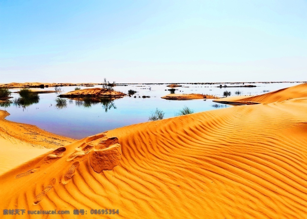 自然风景图片 自然风景 沙漠 地爬草 蓝天 日落 水 金色水面