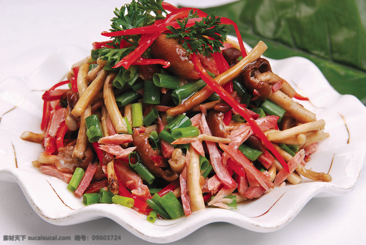 辣味茶树菇 美食 传统美食 餐饮美食 高清菜谱用图