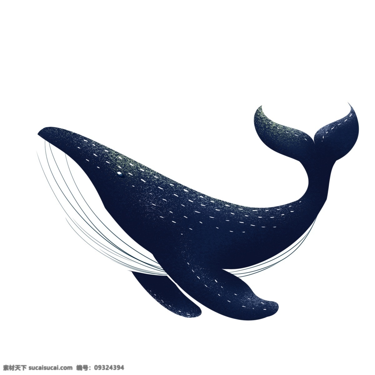 卡通 蓝色 海豚 海洋生物 简约 插画