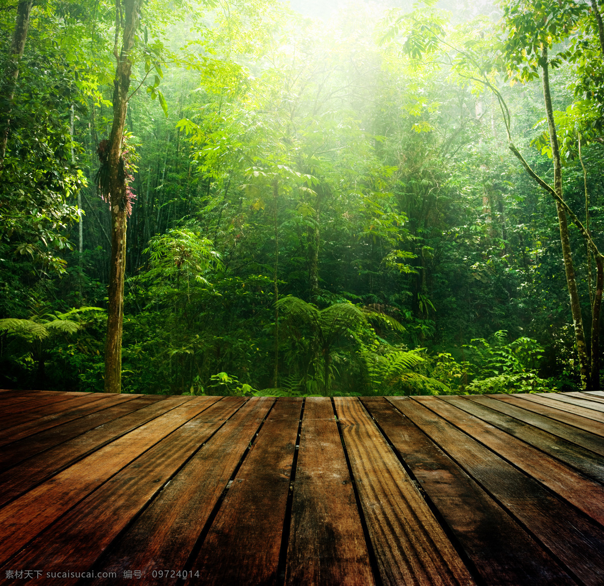 木纹 桌面 森林 背景 海报 素材图片
