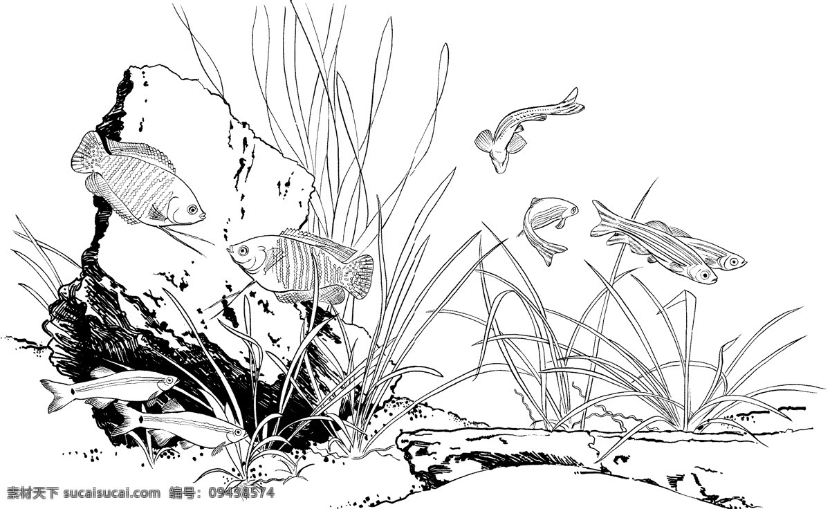 鱼 水中动物 动物素描 设计素材 动物专辑 素描速写 书画美术 白色