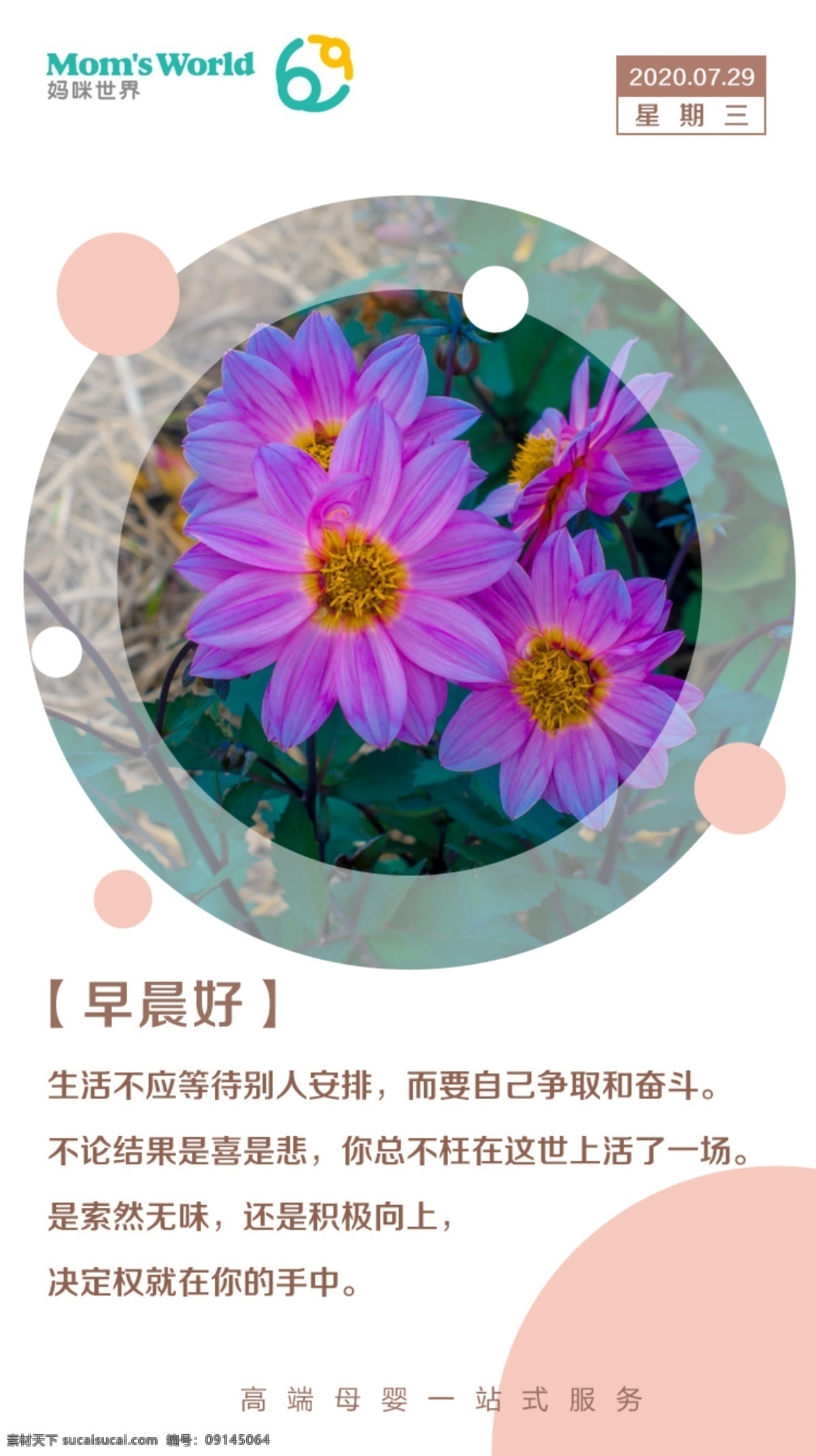 早安 日签 早安图 早安模板 日签模板 朋友圈 朋友圈模板 励志 向上 语录 鸡汤 微商 清新励志