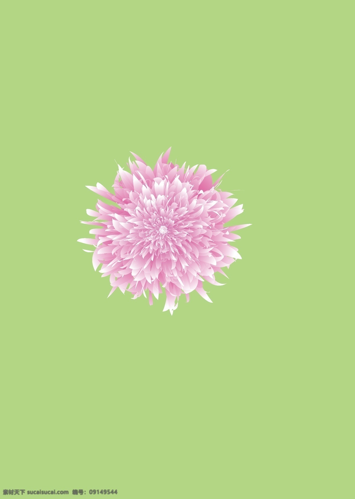 牡丹花 矢量 素材图片 花 粉色 花素材 矢量素材 自然景观