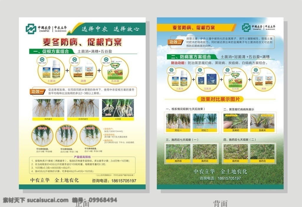 中國(guó) 農(nóng)資 產(chǎn) 宣傳 dm 單 中國(guó)農(nóng)資 中農(nóng)立華 麥冬 根系 農(nóng)藥 logo dm宣傳單 矢量