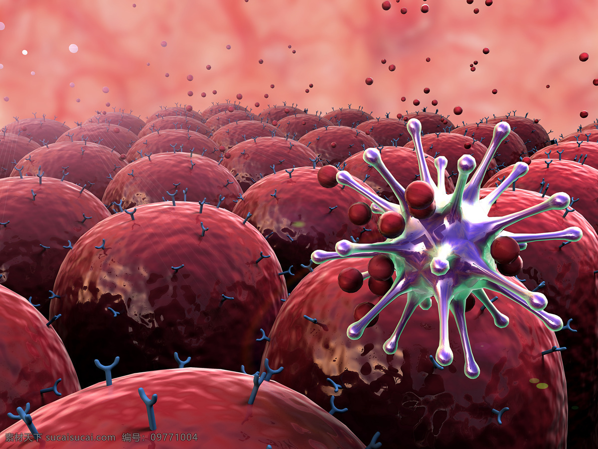 红细胞 高清 背景 血管 微生物 生物细胞 病毒 生 物类 现代科技 科学研究
