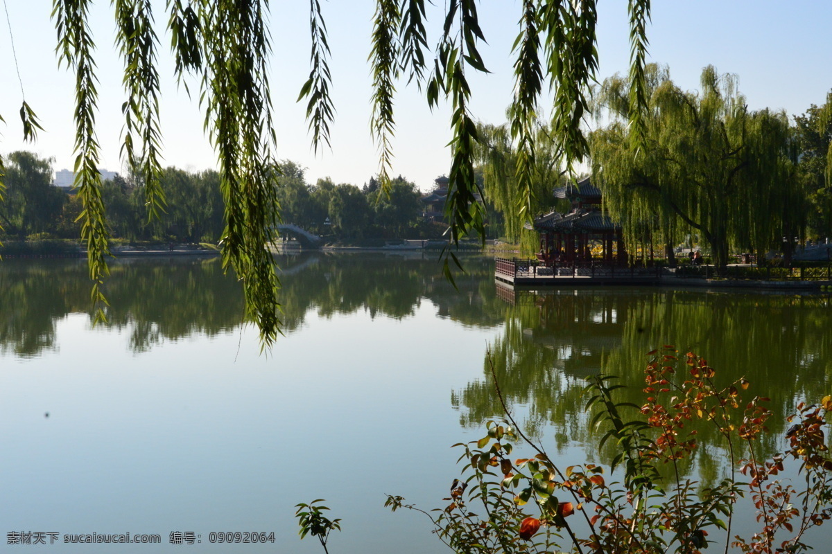 園林風(fēng)景圖片 園林風(fēng)景 陶然亭風(fēng)景 湖水 湖畔 垂柳 柳條 花草 都市風(fēng)景 都市風(fēng)貌 植物 園林景觀 花卉大觀園 建筑園林 園林建筑