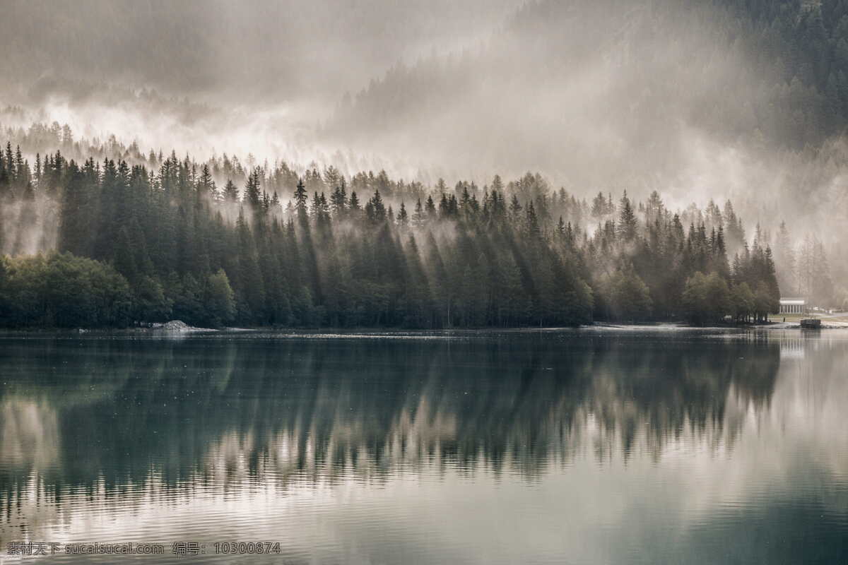 湖畔 松 树林 湖畔松树林 湖水 倒映 湖边 薄雾 雾蒙蒙 自然 风景 灰色天空 植物 森林 自然之美 松林地 cc0 公共领域 大图 自然景观 自然风景