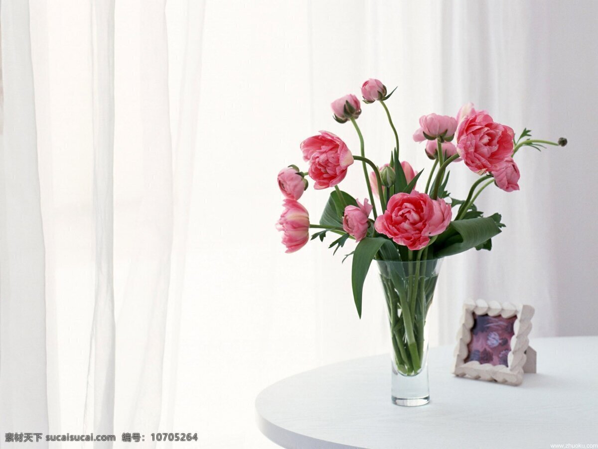 家居花卉 白色窗帘 白色桌面 相框 透明玻璃杯 花朵 红花 花卉 家居生活 生活百科