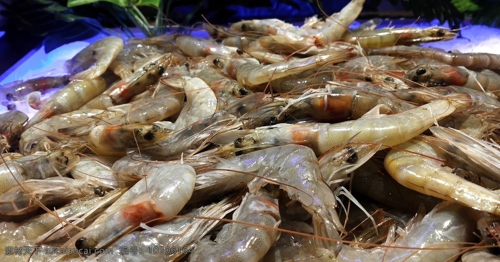 大虾图片 大虾 海鲜 海产品 自助餐海鲜 鲜虾虾 餐饮美食 传统美食