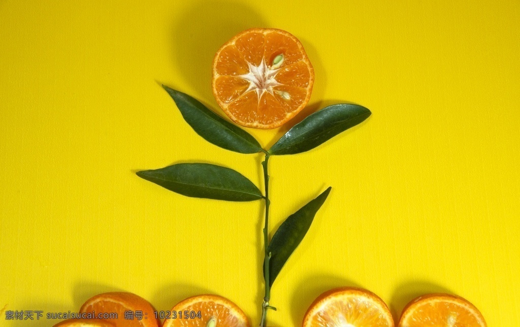 橘子 创意 广告摄影 素材图片 柑橘 橙 水果素材 广告素材 宣传单页素材 画册素材 创意摄影 平面设计 水果高清壁纸 黄色背景 黄的底板 网页素材 生物世界 水果