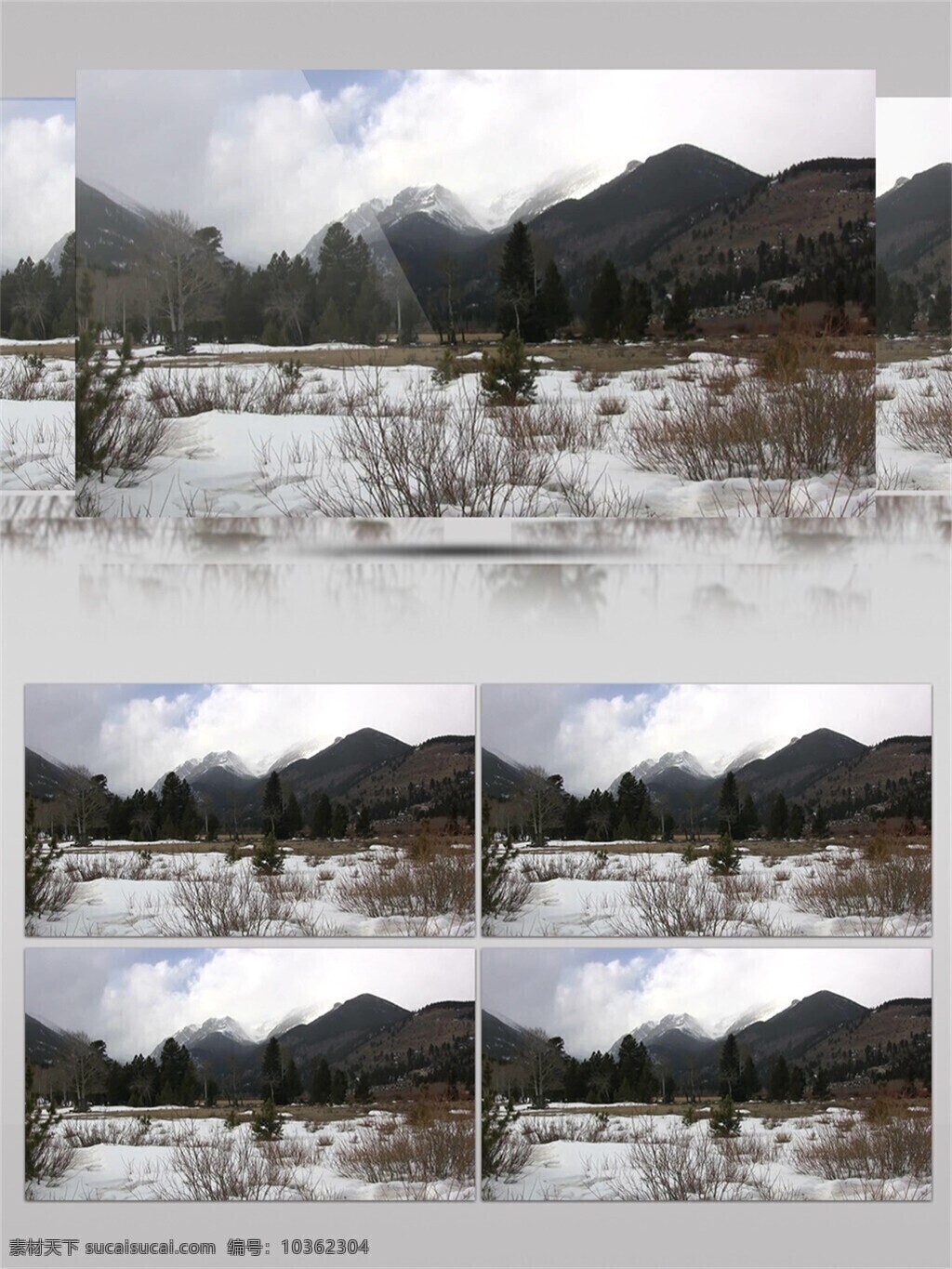 大雪 覆蓋 雪山 樹(shù)林 視頻 冬天 冬季 草地 白云 藍(lán)天 下雪 雪地 樹(shù)木 枯枝