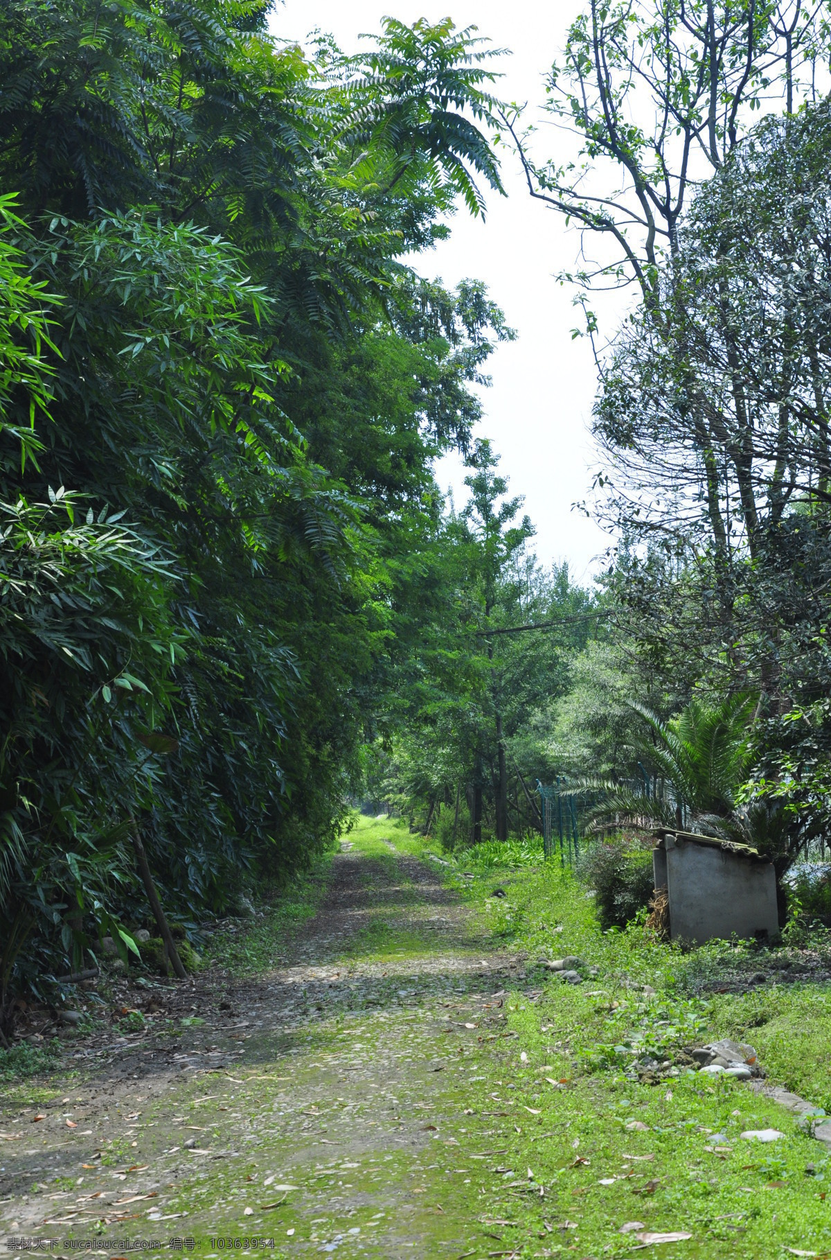 小徑 風(fēng)景圖片 風(fēng)景 風(fēng)景畫 農(nóng)莊 田園風(fēng)光 自然景觀 小徑風(fēng)景 都市農(nóng)莊 農(nóng)莊小景 家居裝飾素材 山水風(fēng)景畫