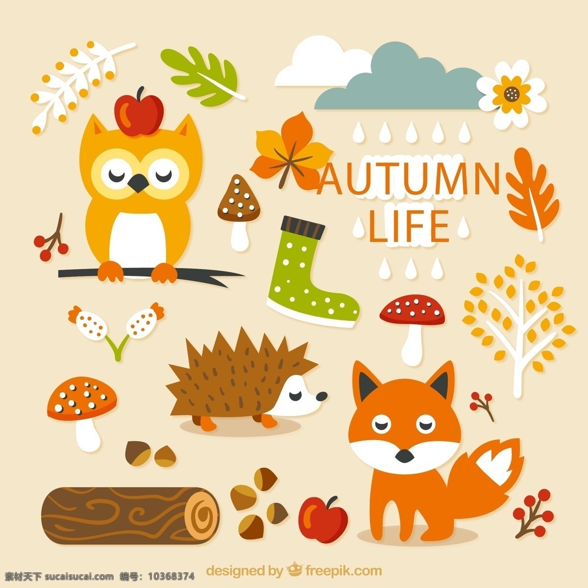 秋季 森林 元素 贴纸 树叶 猫头鹰 袜子 蘑菇 树木 苹果 矢量 高清图片