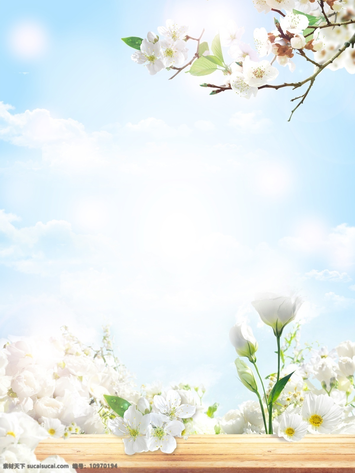 花香 清新 洗護(hù)用品 促銷 海報(bào) 優(yōu)惠 電商素材 淘寶素材 主圖模版 淘寶主圖背景 鮮花 護(hù)膚品 日用品 直通車背景 電商 分層
