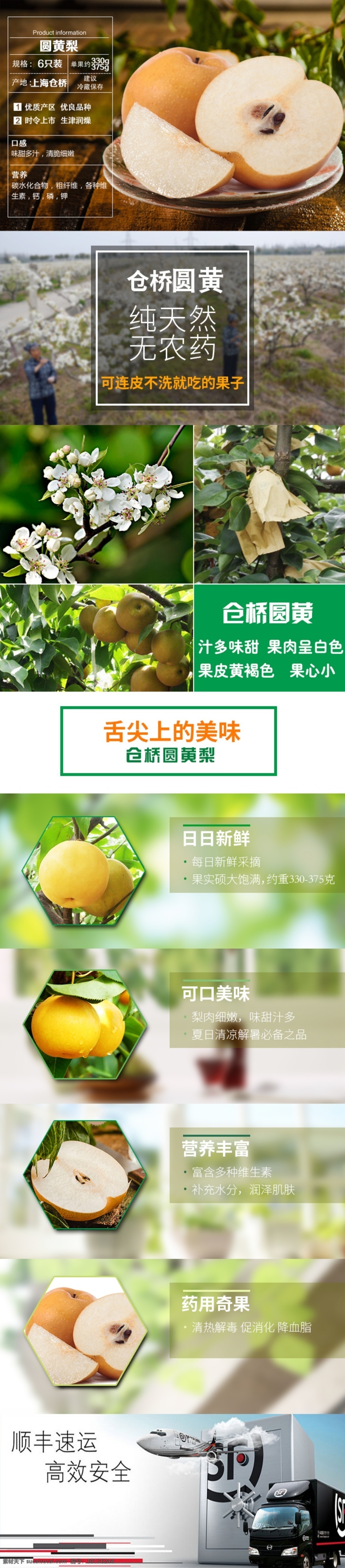 倉(cāng) 橋 圓 黃梨 詳情 頁(yè) 梨 水果 詳情頁(yè) 白色