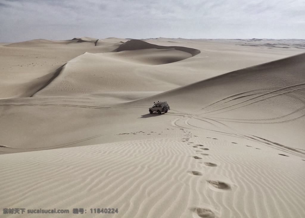 沙漠 越野车 自然生态 背景 自然 生态 杂图