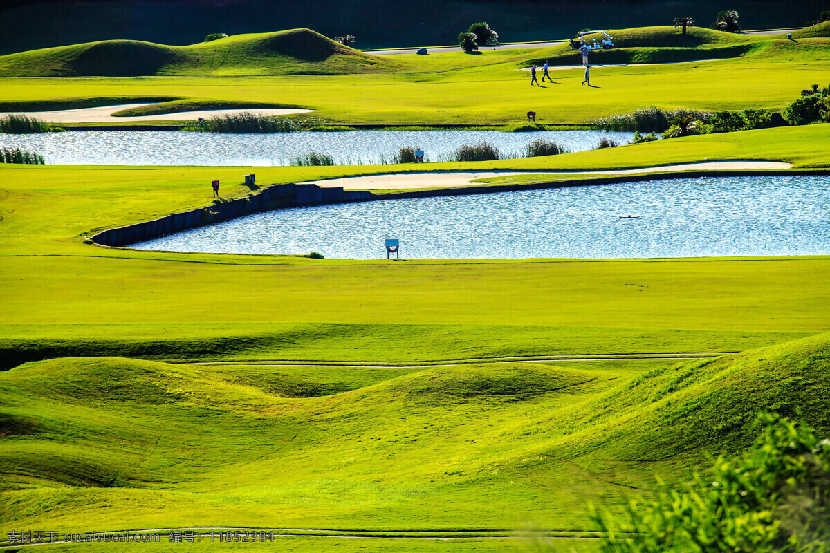 高尔夫球场 草地 水池 草坪 绿地 美丽风景 高尔夫俱乐部 自然风景 自然景观 黄色