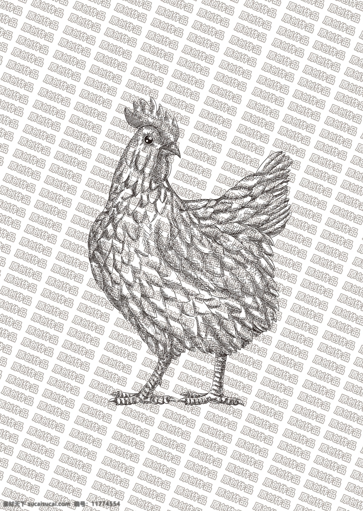 素描鸡图片 素描鸡 鸡卡通 鸡插画 鸡肉 土鸡 线条鸡 公鸡 鸡 分层