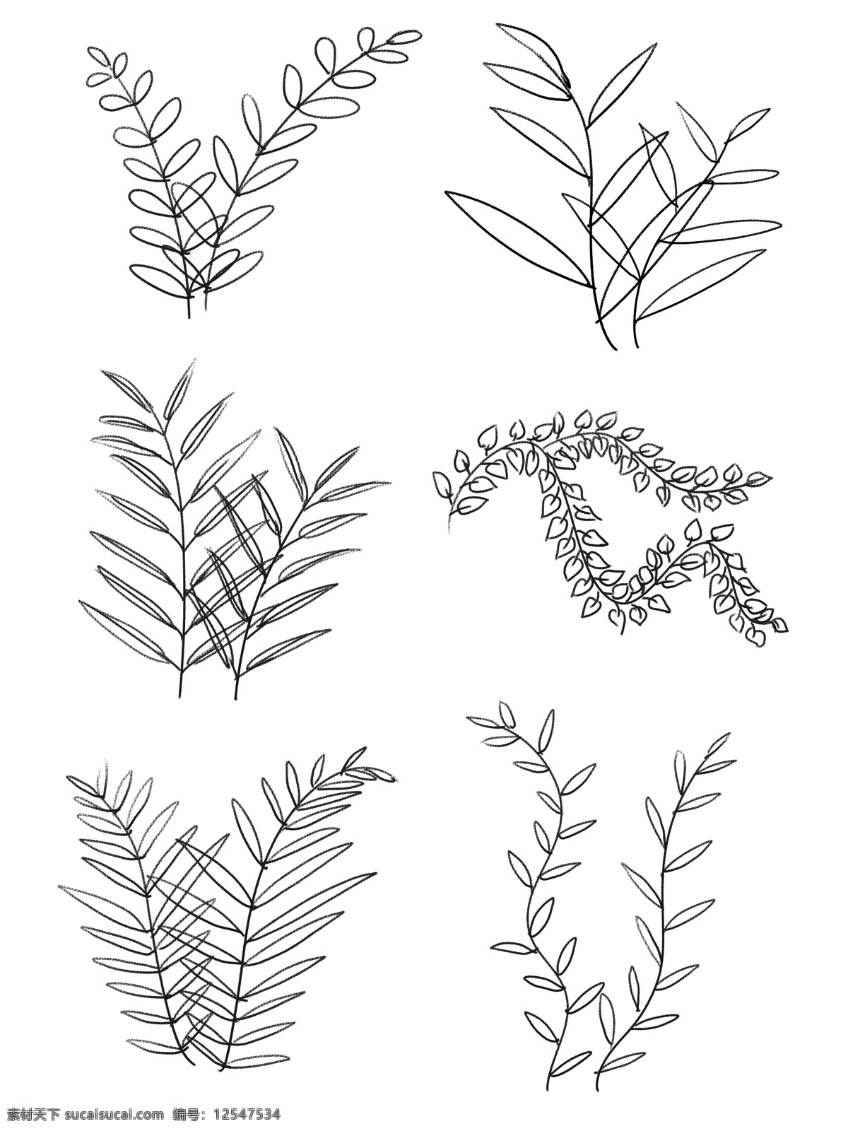 手绘 插画 黑白 线描 植物 叶子 绿植