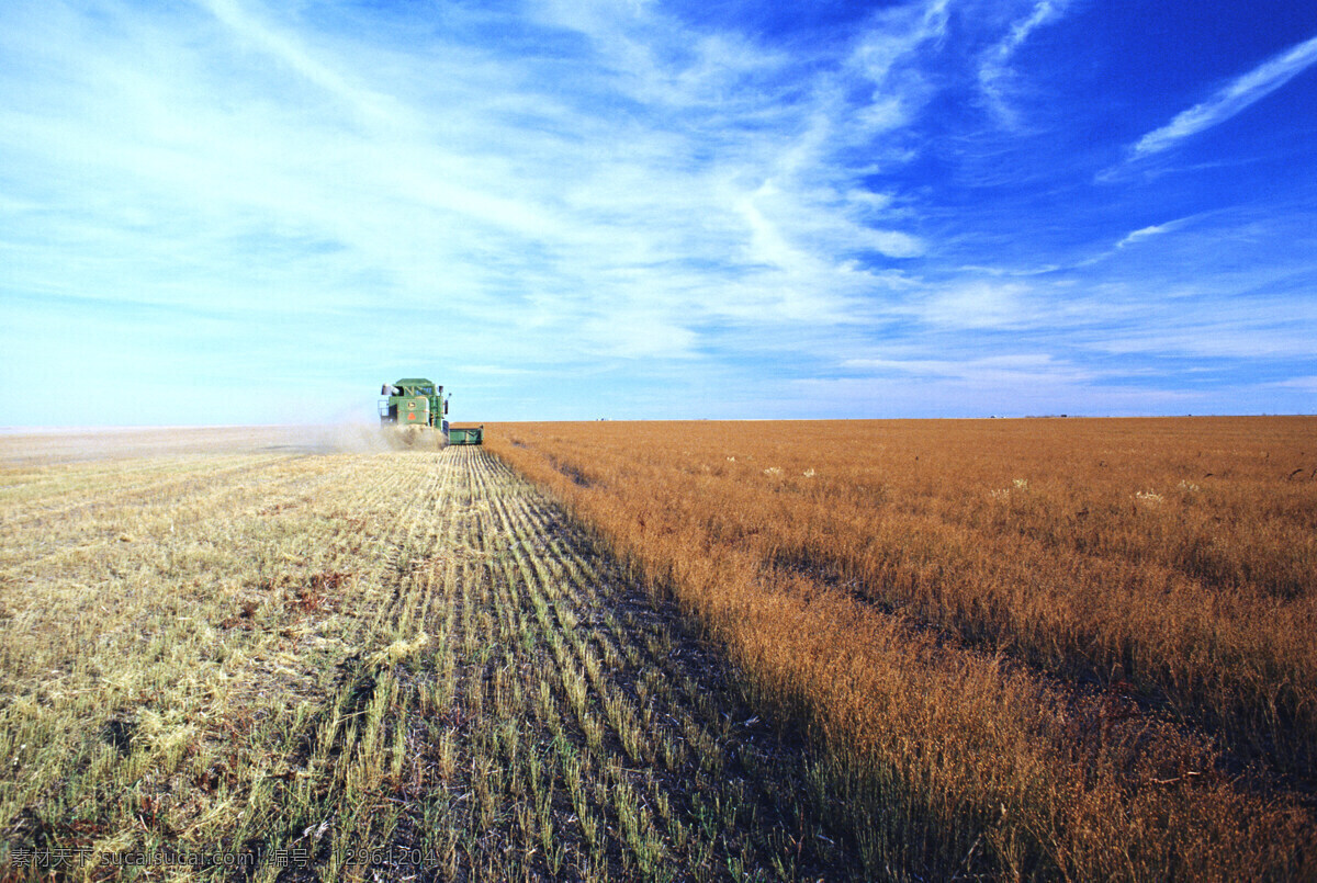 高清 风景 希望 田野 丰收 风景图片 高清素材 蓝天白云 麦田 收割 农业生产