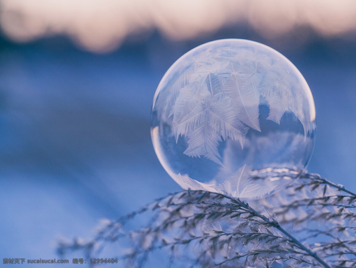冬天 冬季 气泡 树枝 背景图片 背景 自然景观 自然风景