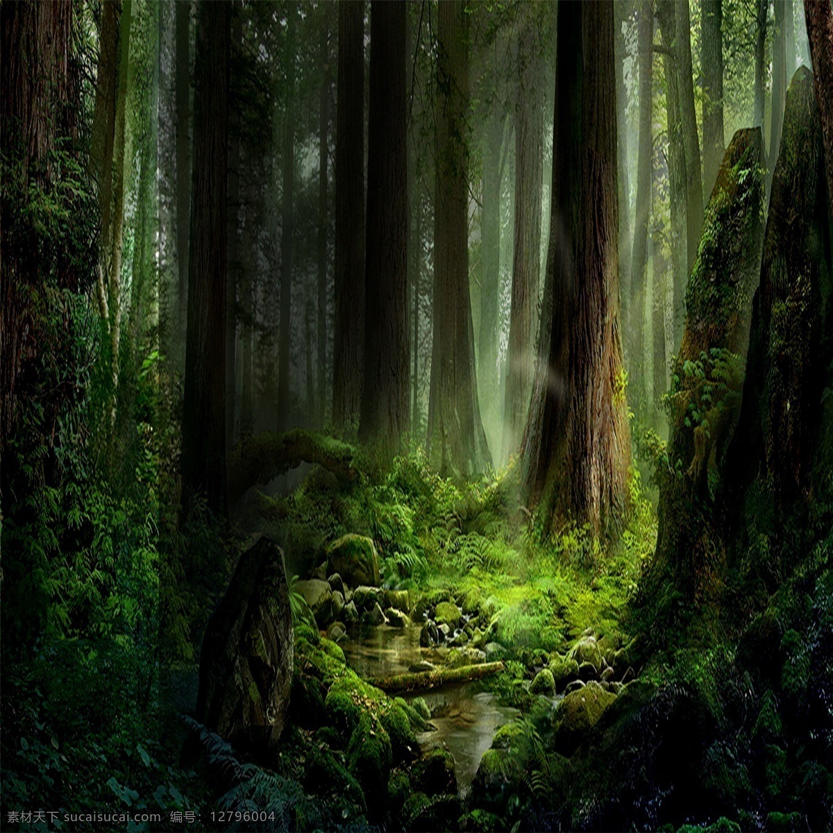 森林背景圖片 夢幻森林 森林 綠色森林 森林背景 原始森林 奇幻森林 夢幻叢林 卡通森林 童話森林 幽暗森林 神秘森林 秘境仙蹤 遠古叢林 遠古森林 樹 古樹 樹藤 卡通劇背景 畫 樹木 樹林 藤條 愛麗絲森林 兒童劇 森林舞臺背景 背景設計 叢林舞臺背景 舞臺劇前景 舞臺背景 舞臺幕布 童話世界 森林壁紙 共享素材