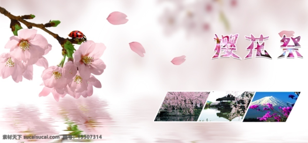 櫻花海報(bào)圖 櫻花 海報(bào) 高清 花瓣 白色
