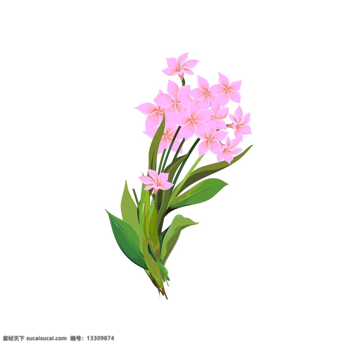 手绘 风水 彩 写实 花卉 商用 元素 水彩 花朵 植物