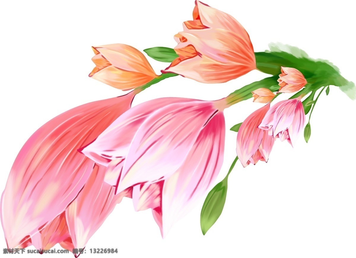 高清 手绘 花 手绘花 花卉 数码印花 高清绘花 玫瑰花 生物世界 花草 手绘花朵